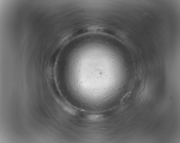 X0000082720375200701261225
