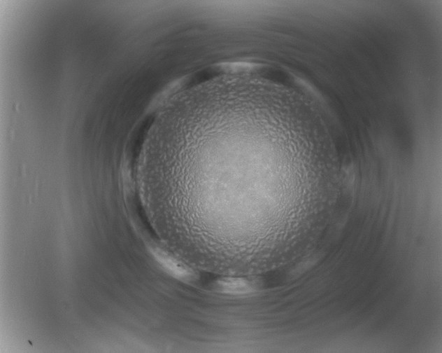 X0000082720381200701261225