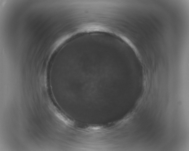 X0000082720391200701261224