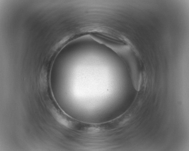 X0000082720394200701261224