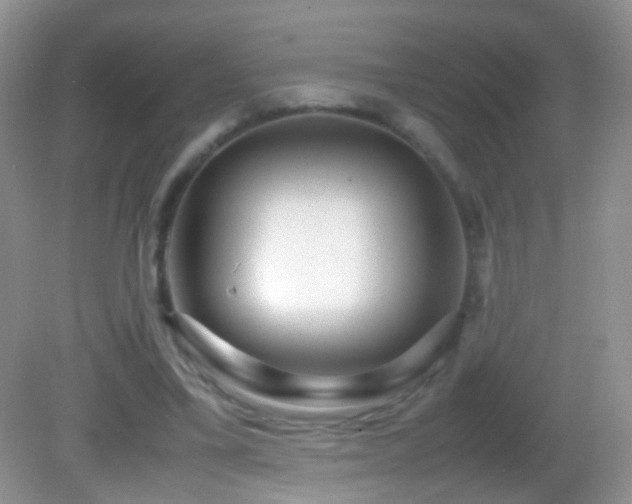 X0000082720395200701261224