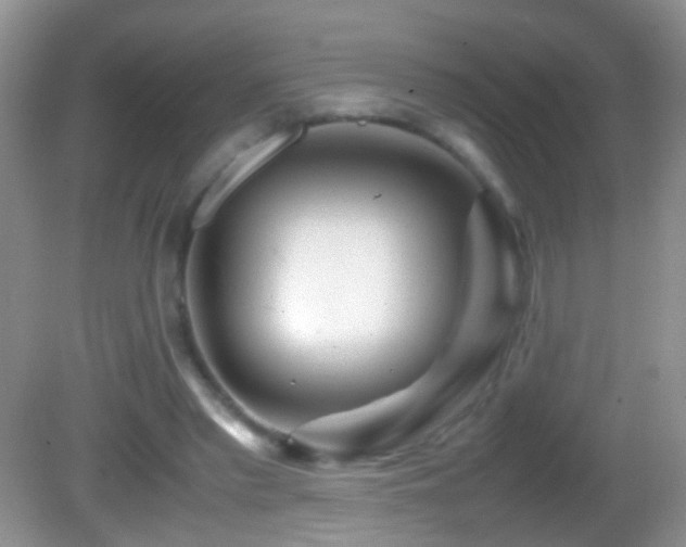 X0000082720397200701261224