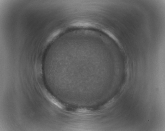 X0000082720399200701261224