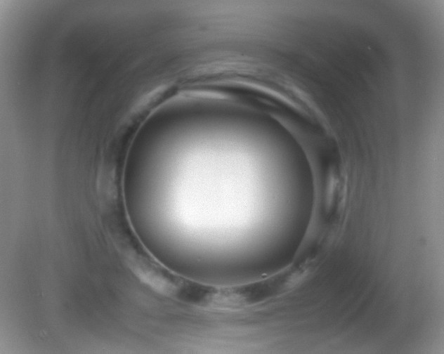 X0000082720403200701261224