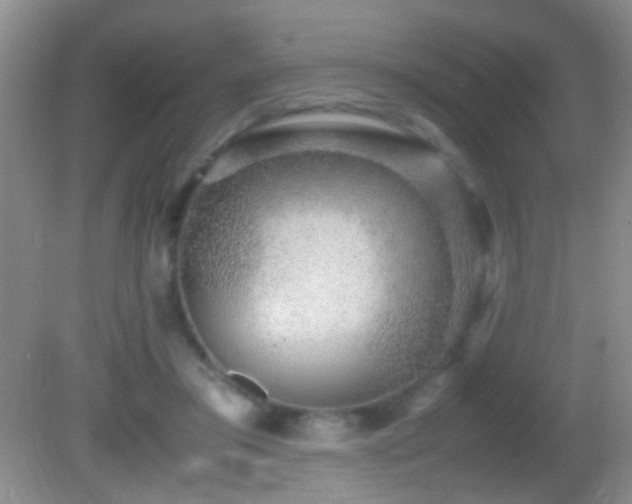 X0000082720405200701261224