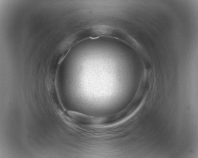 X0000082720409200701261224
