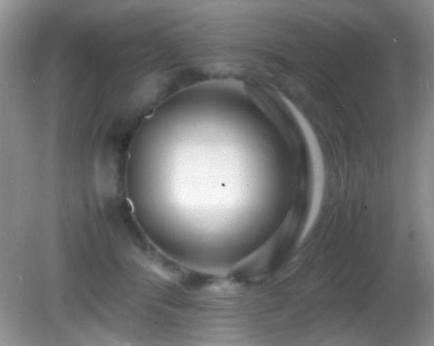 X0000082720416200701261224