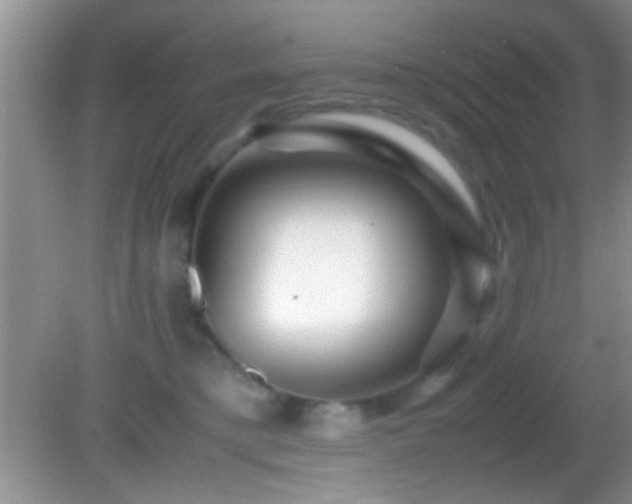 X0000082720421200701261224