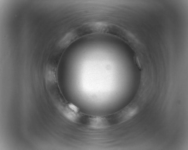 X0000082720432200701261224