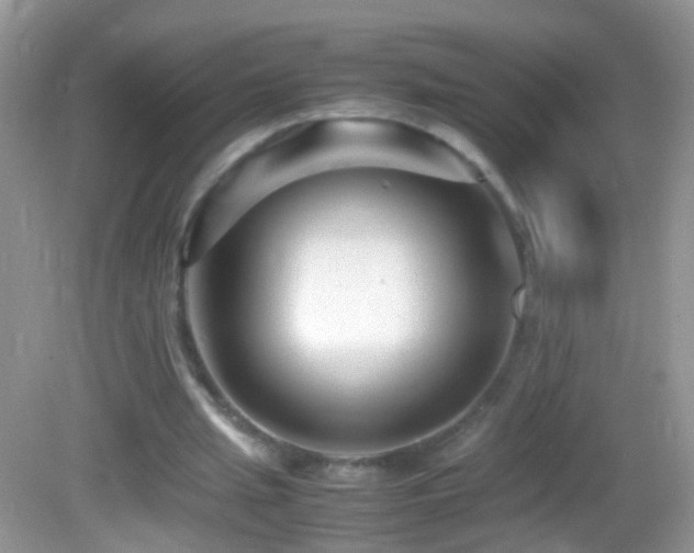 X0000082720437200701261223