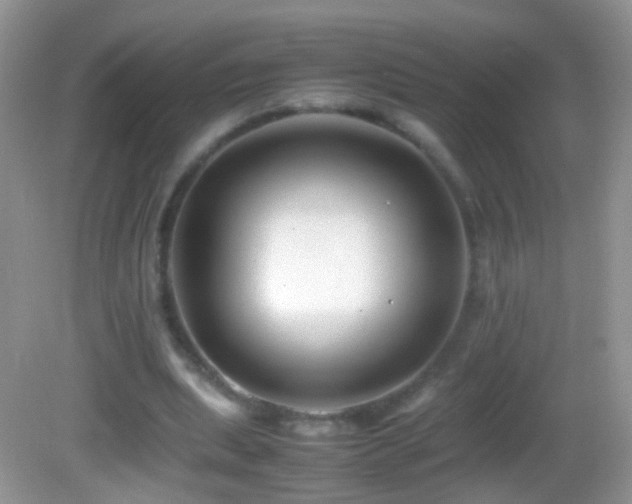 X0000082720439200701261223