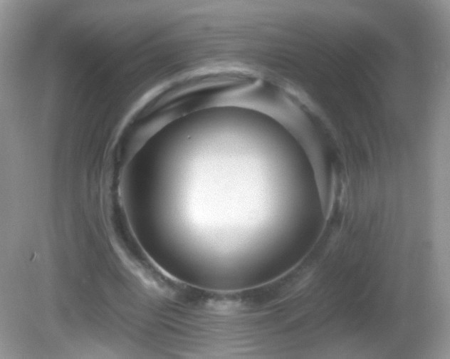 X0000082720440200701261223