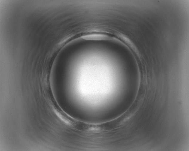 X0000082720441200701261223