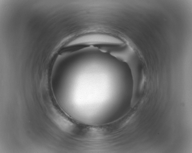 X0000082720442200701261223