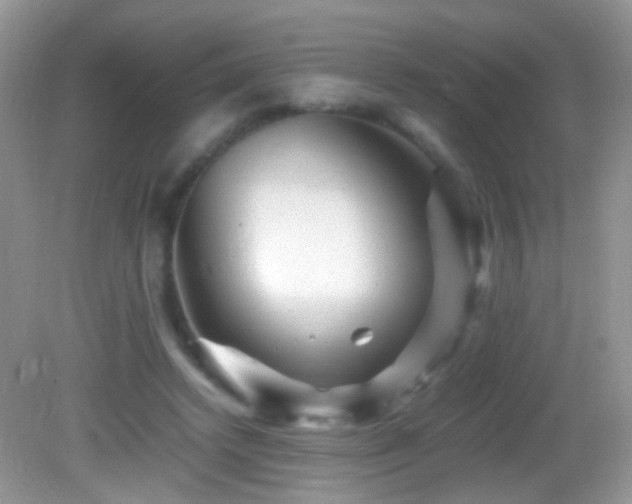 X0000082720448200701261223