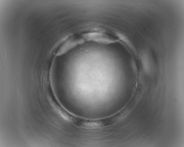 X0000082720449200701261223