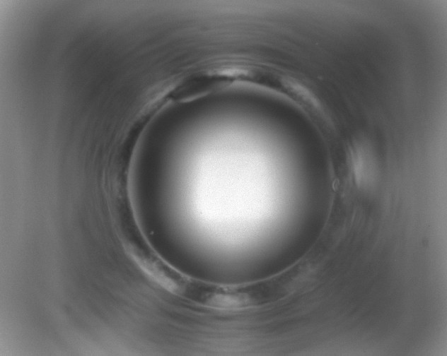 X0000082720455200701261223
