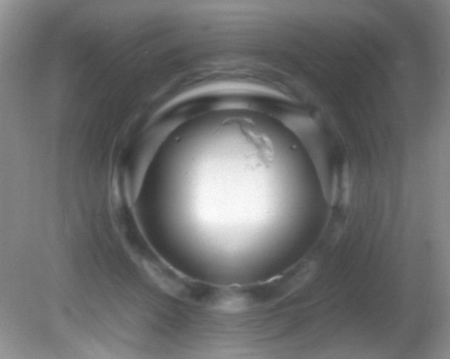 X0000082720456200701261223