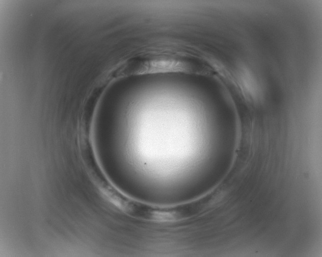 X0000082720457200701261223