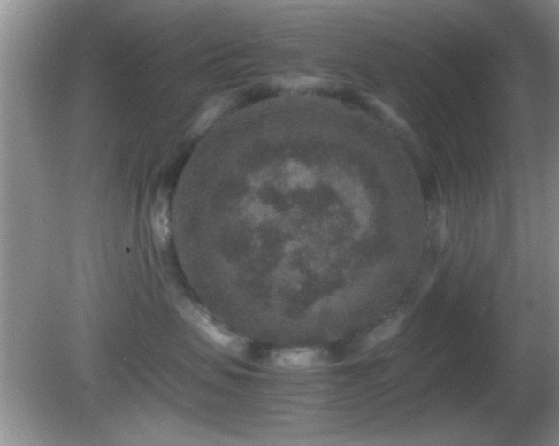 X0000082720479200701261224