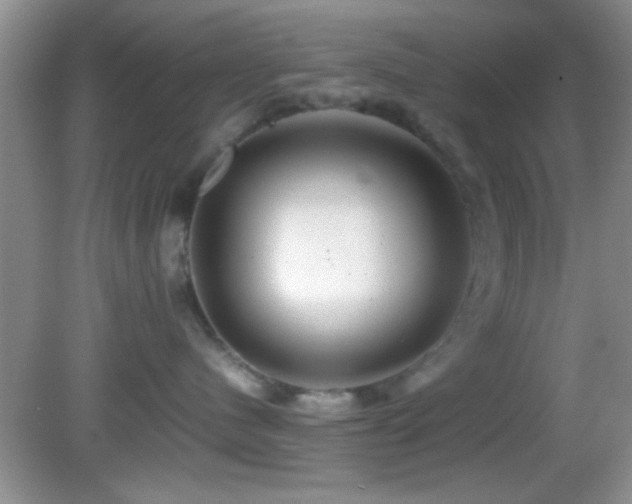 X0000082720480200701261224