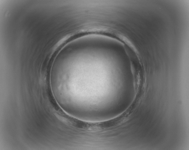 X0000082720483200701261223