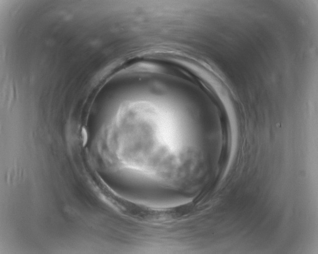 X0000082720485200701261223