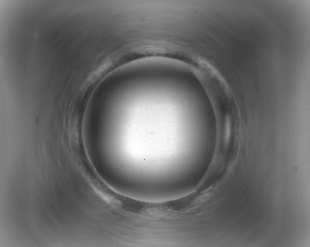 X0000082720489200701261223