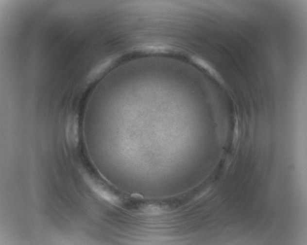 X0000082720494200701261223