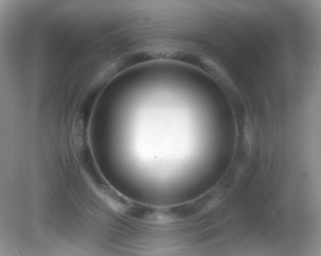 X0000082720498200701261223