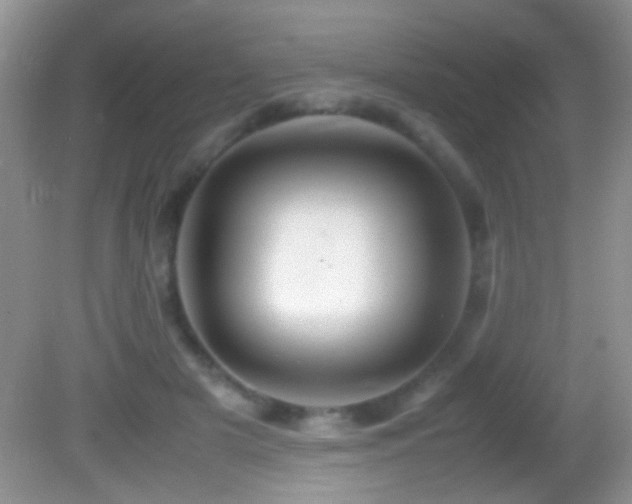 X0000082720505200701261222