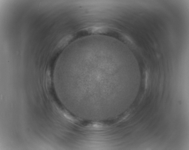 X0000082720506200701261222