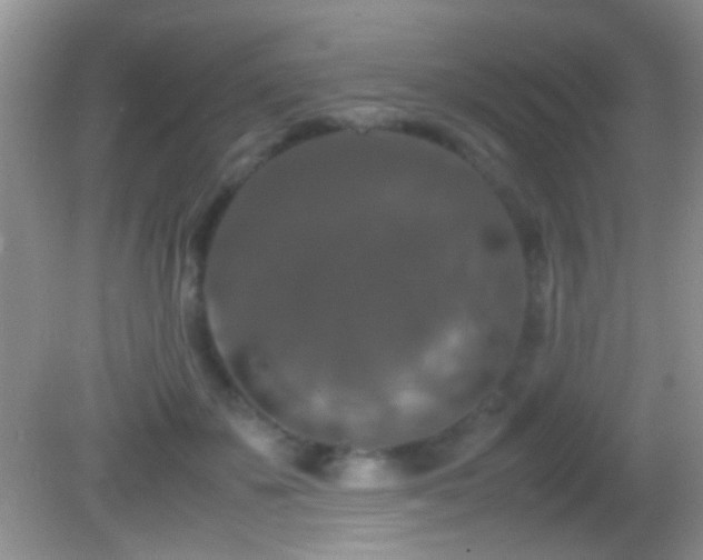 X0000082720507200701261222
