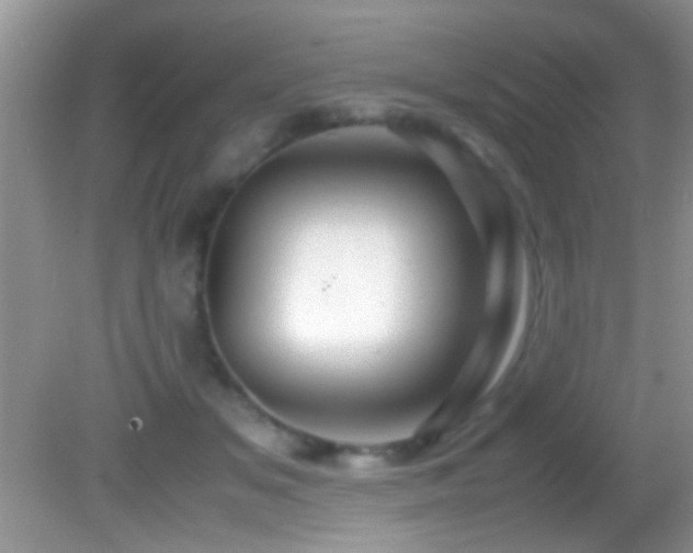 X0000082720509200701261222