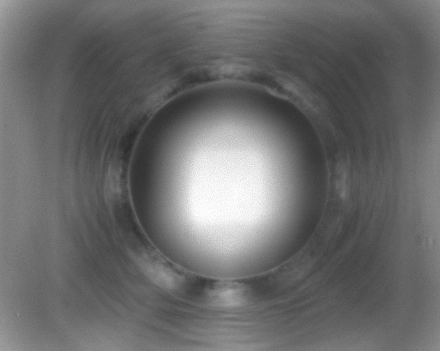 X0000082720514200701261222