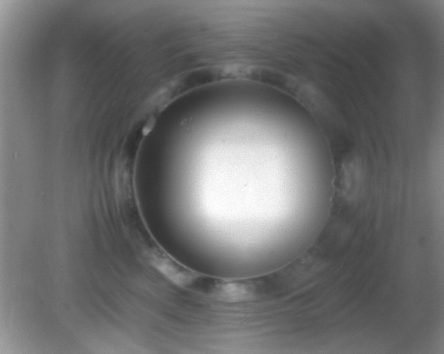 X0000082720522200701261222
