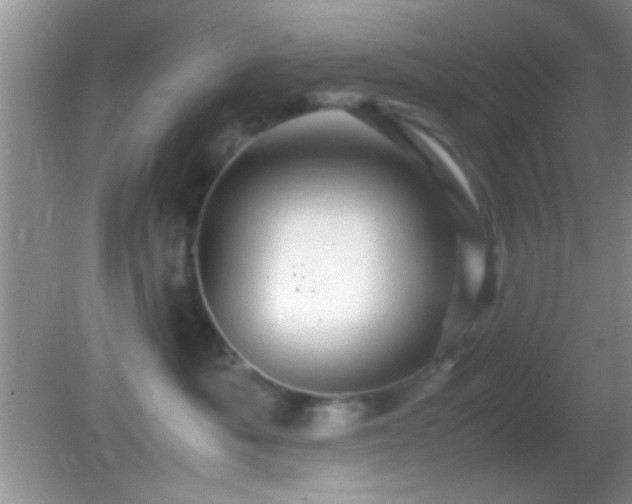 X0000082720525200701261222