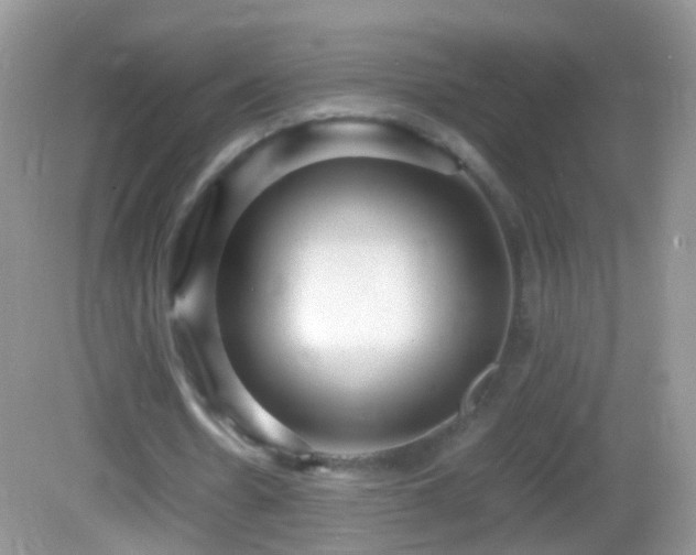X0000082720530200701261221