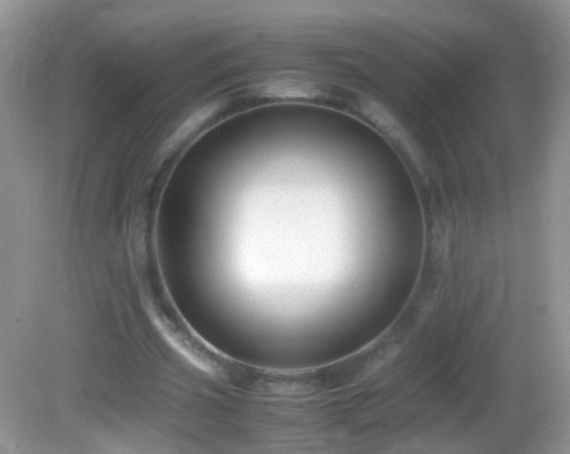 X0000082720533200701261221