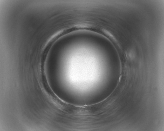 X0000082720535200701261221