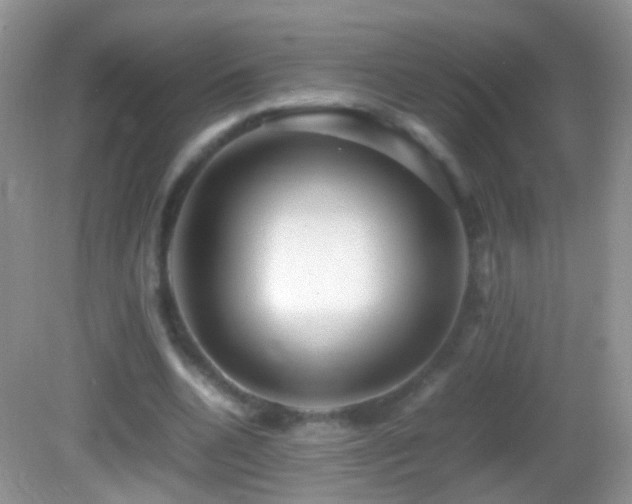 X0000082720536200701261221