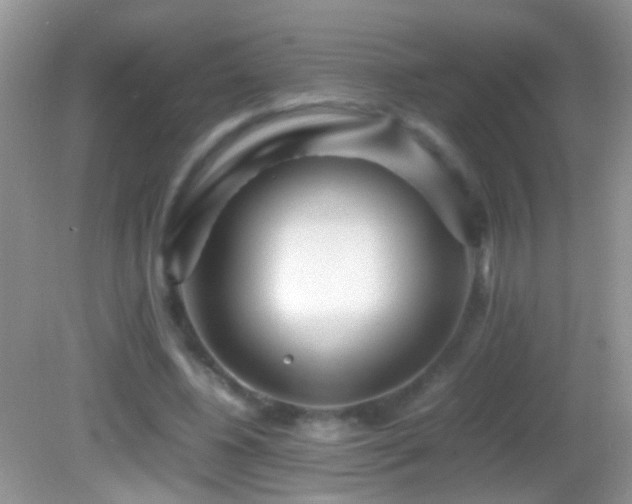 X0000082720540200701261221