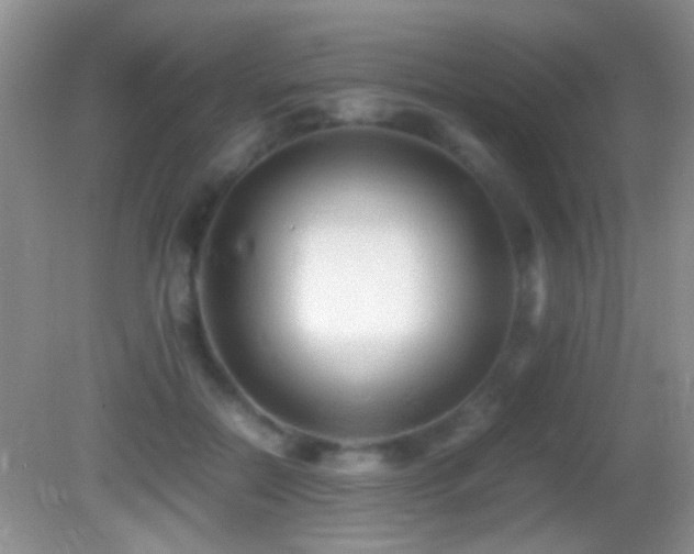 X0000082720554200701261222