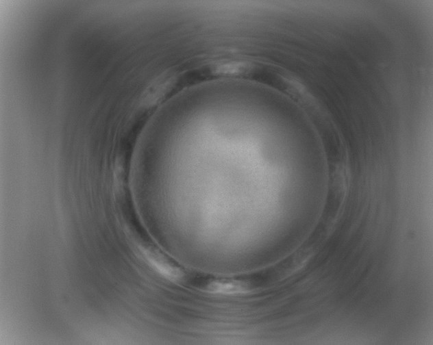 X0000082720557200701261222