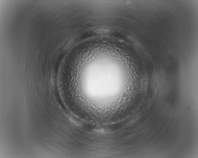 X0000082720561200701261222