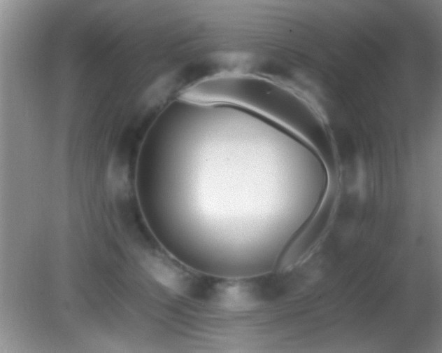 X0000082720564200701261222