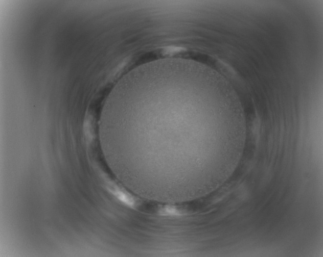 X0000082720565200701261222