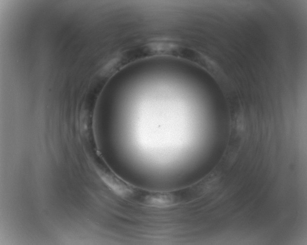 X0000082720567200701261222