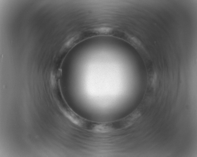 X0000082720568200701261222