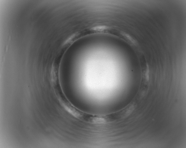 X0000082720572200701261222